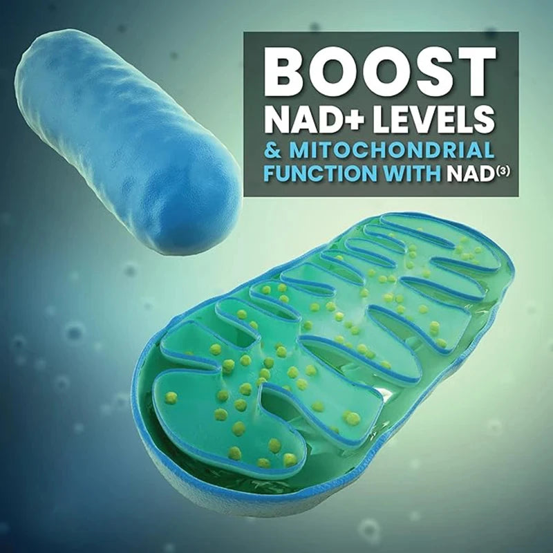 NAD+ Supplement Capsules - 900mg Liposomal Nicotinamide Riboside with Resveratrol & Quercetin for Anti-Aging and Energy