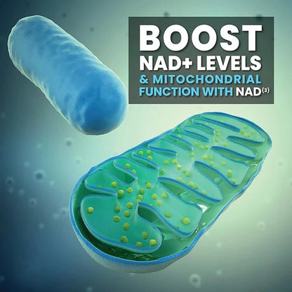 NAD+ Supplement Capsules - 900mg Liposomal Nicotinamide Riboside with Resveratrol & Quercetin for Anti-Aging and Energy